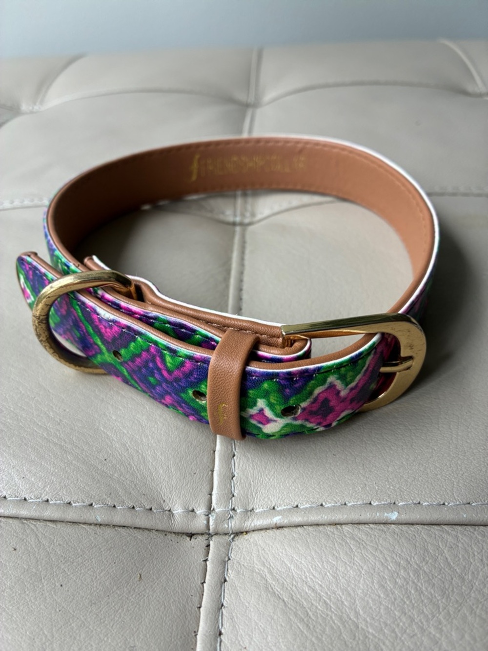Colorful Leather Dog Collar with Multicolor Floral Trim and Gold-Tone Buckle
